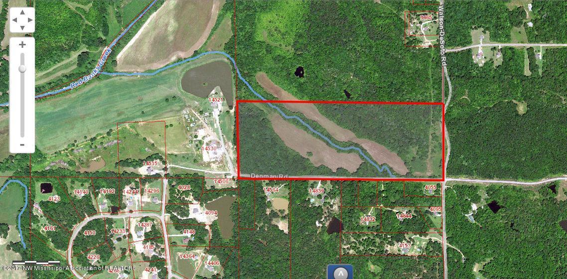 20 Watson Desoto Road - Photo 1
