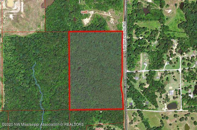 3 Barton Desoto Road - Photo 1