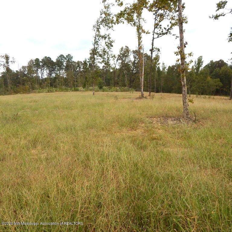 6413 Pea Ridge Road - Photo 1