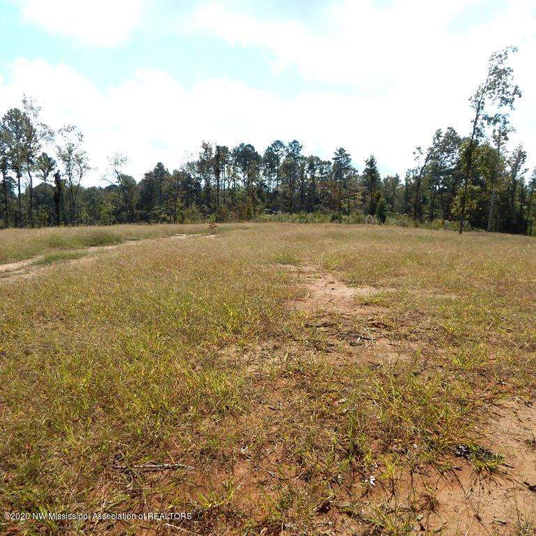 6418 Pea Ridge Road - Photo 1