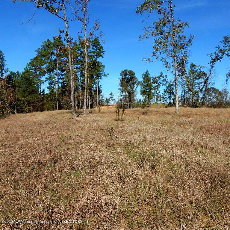 6428 Pea Ridge Road - Photo 1