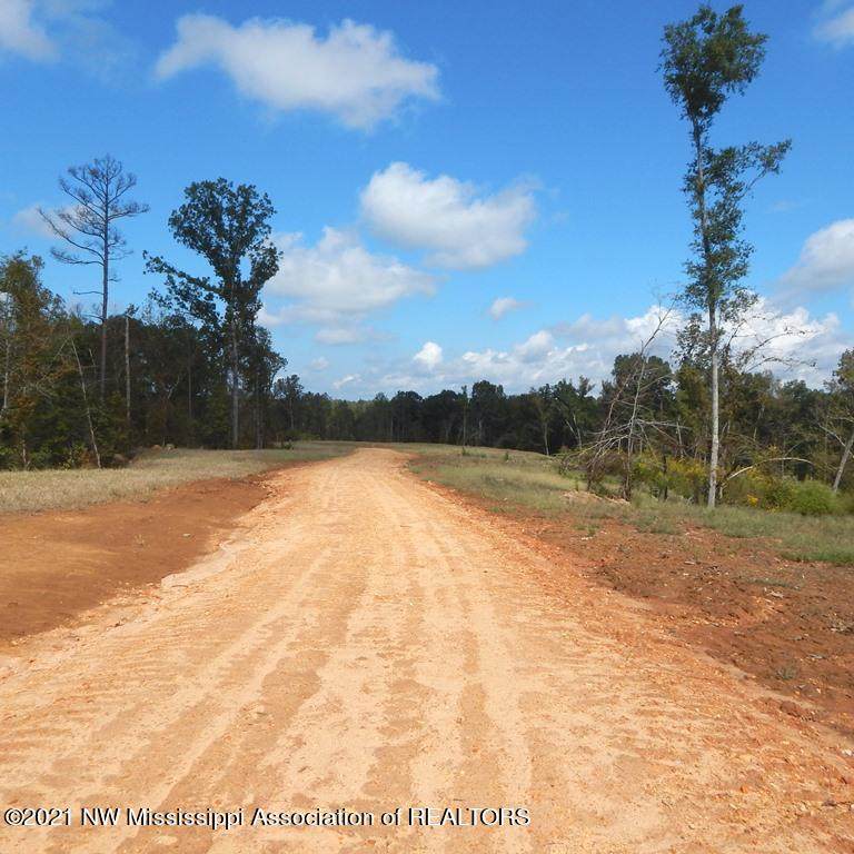 6439 Pea Ridge Road - Photo 1