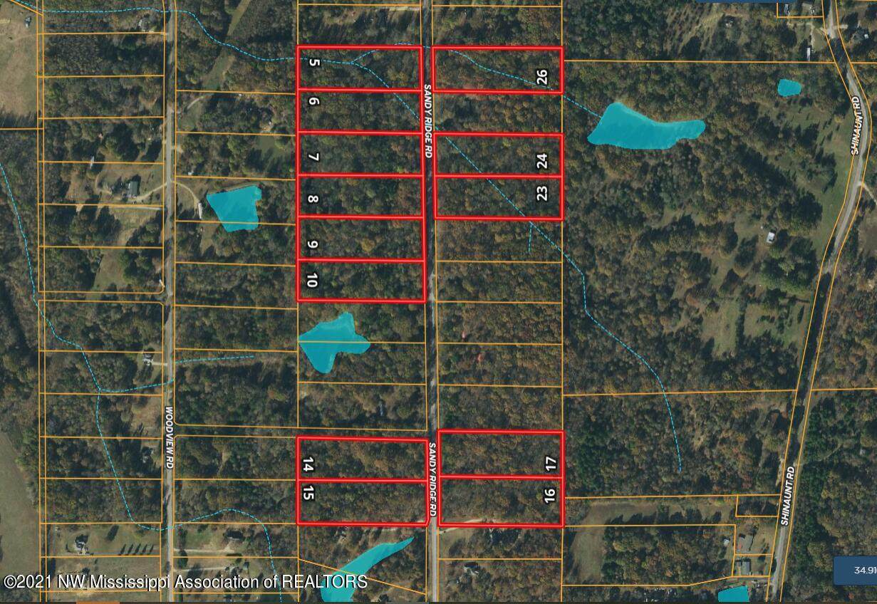 10 Sandy Ridge - Photo 1