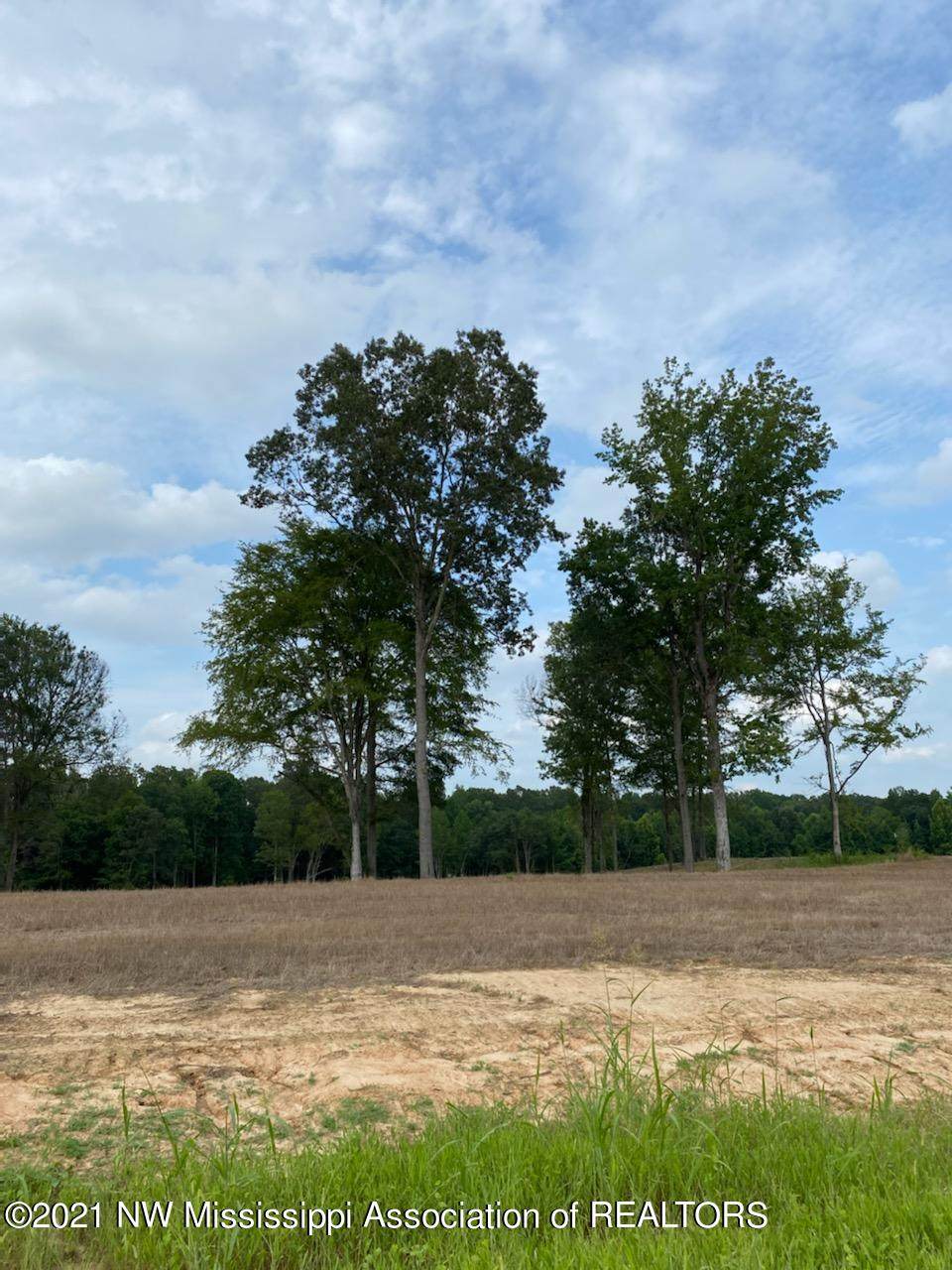 66 Pebble View Drive - Photo 1