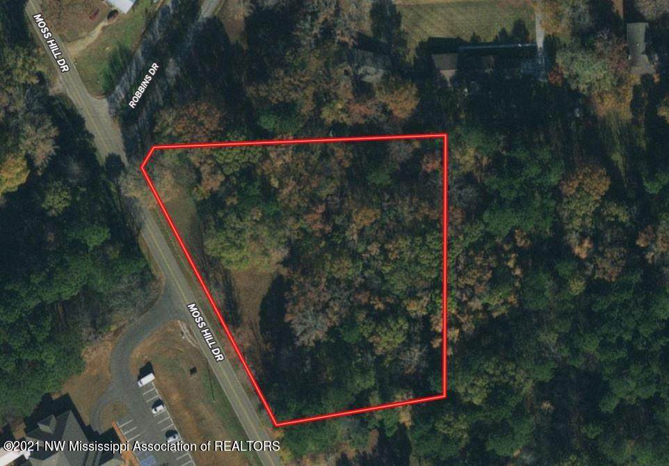 0 Moss Hill Drive - Photo 1