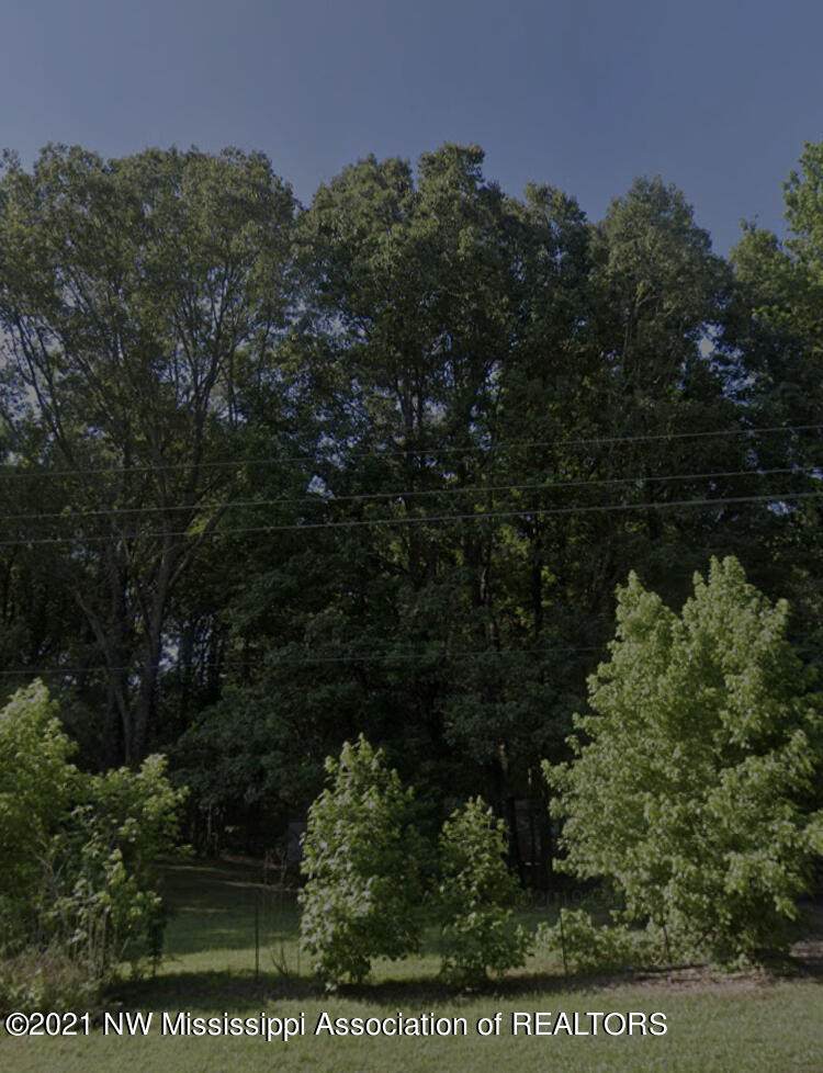 3285 Starlanding - Photo 1