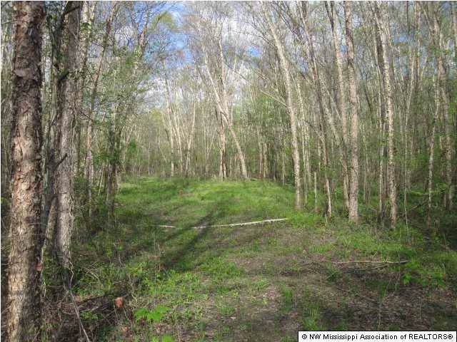 100 Red Banks Road - Photo 1