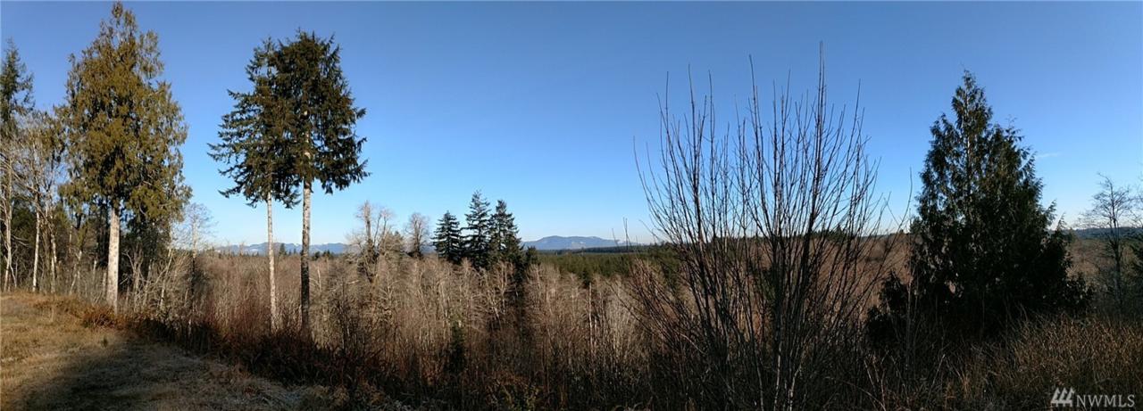 521 Satsop Bridge Rd - Photo 1