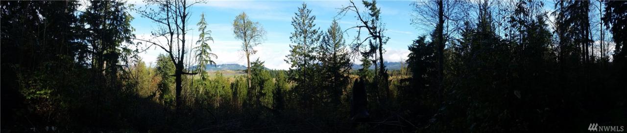186-XXX Renton Maple Valley Rd - Photo 1