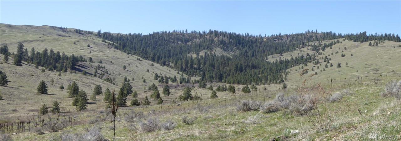 100 Mineral Ridge Rd - Photo 1