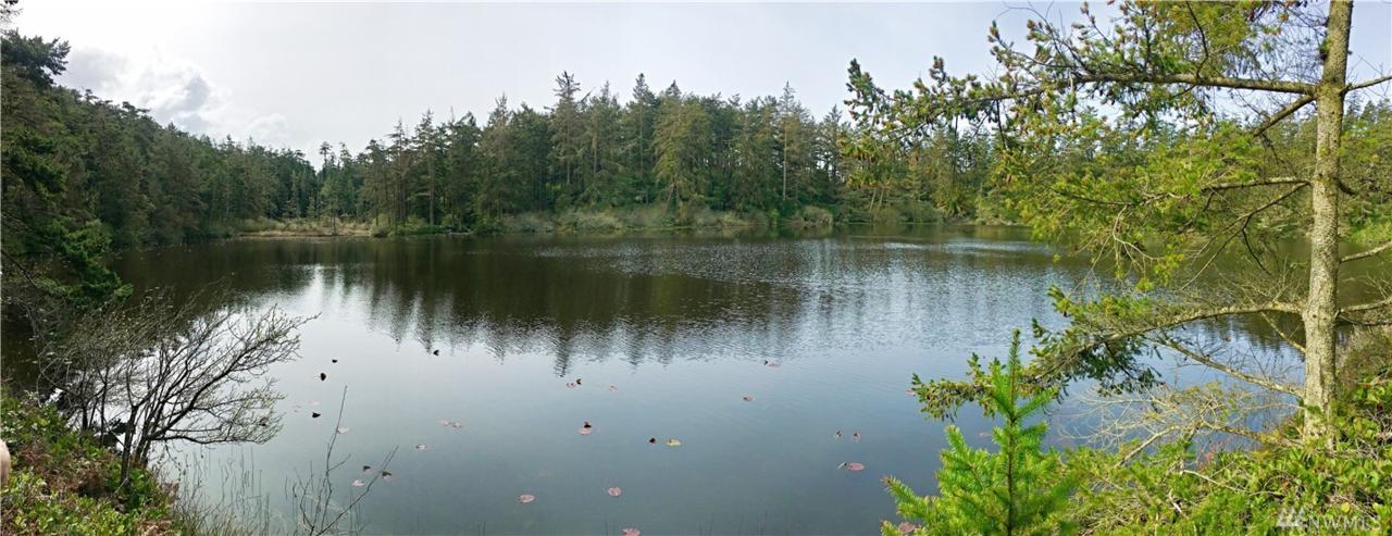 0 Fort Ebey Rd - Photo 1