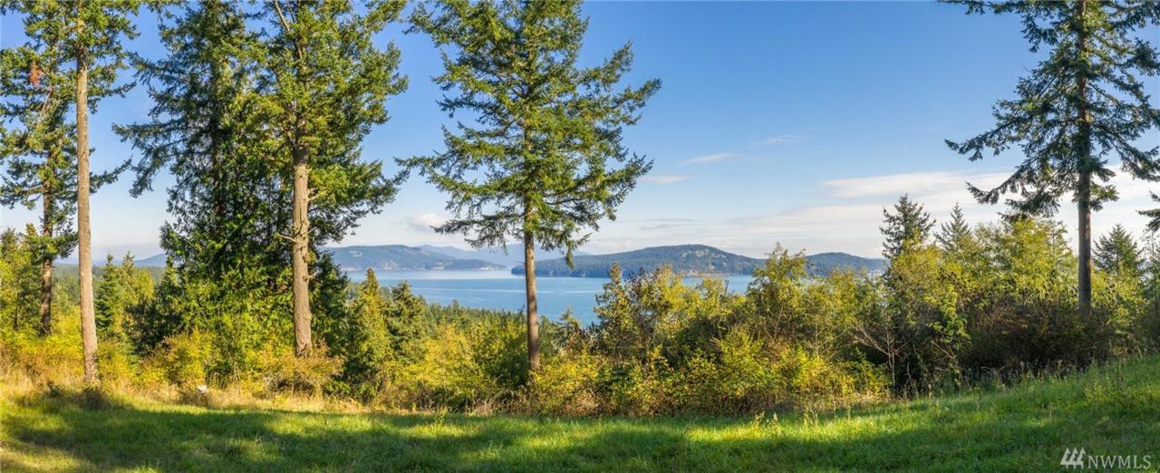 459 Suntides Lane - Photo 1