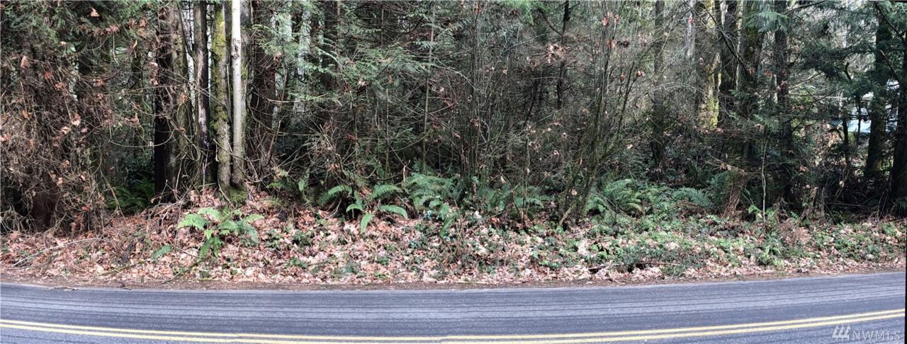 0-Lt001 Island Lake Rd - Photo 1