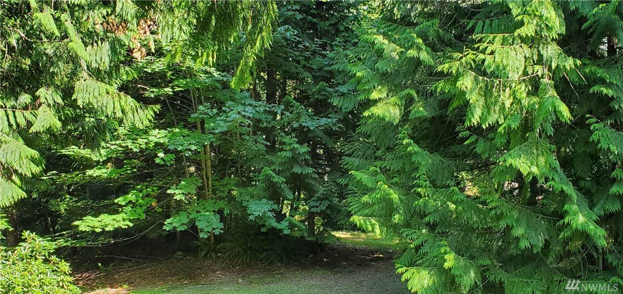 0 Cultus Ct - Photo 1