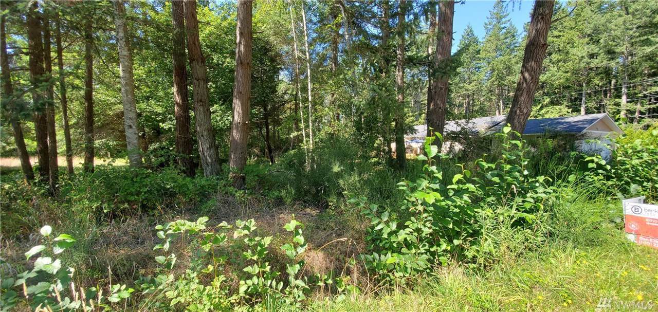 2-Lot Greenwood Dr - Photo 1 2-Lot Greenwood Dr - Photo 1