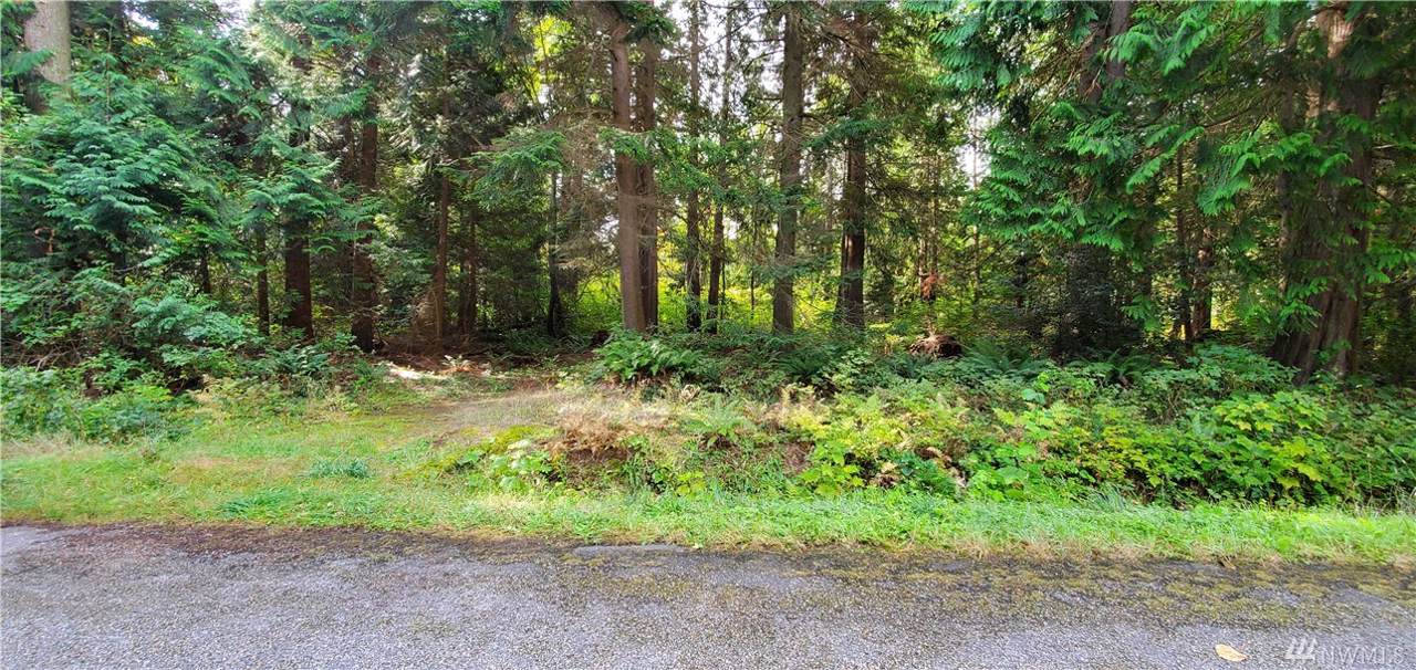 0-Lot 5 Deer Rd - Photo 1