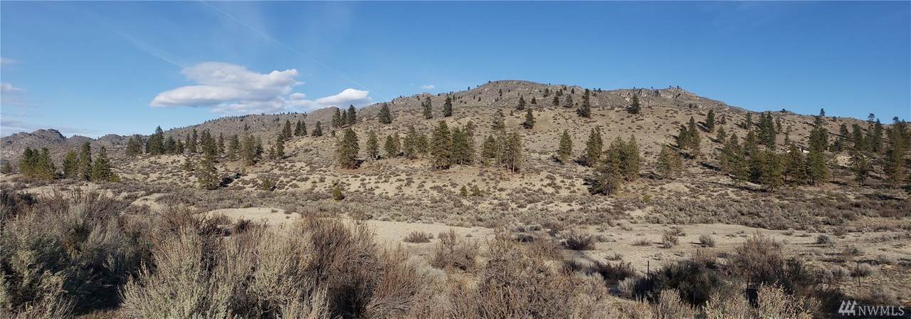 1111 Highway 97 - Photo 1 1111 Highway 97 - Photo 1
