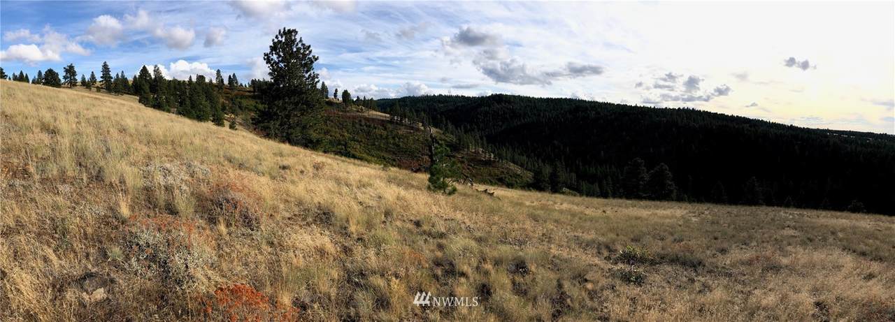 0 Maloney Mountain Road - Photo 1