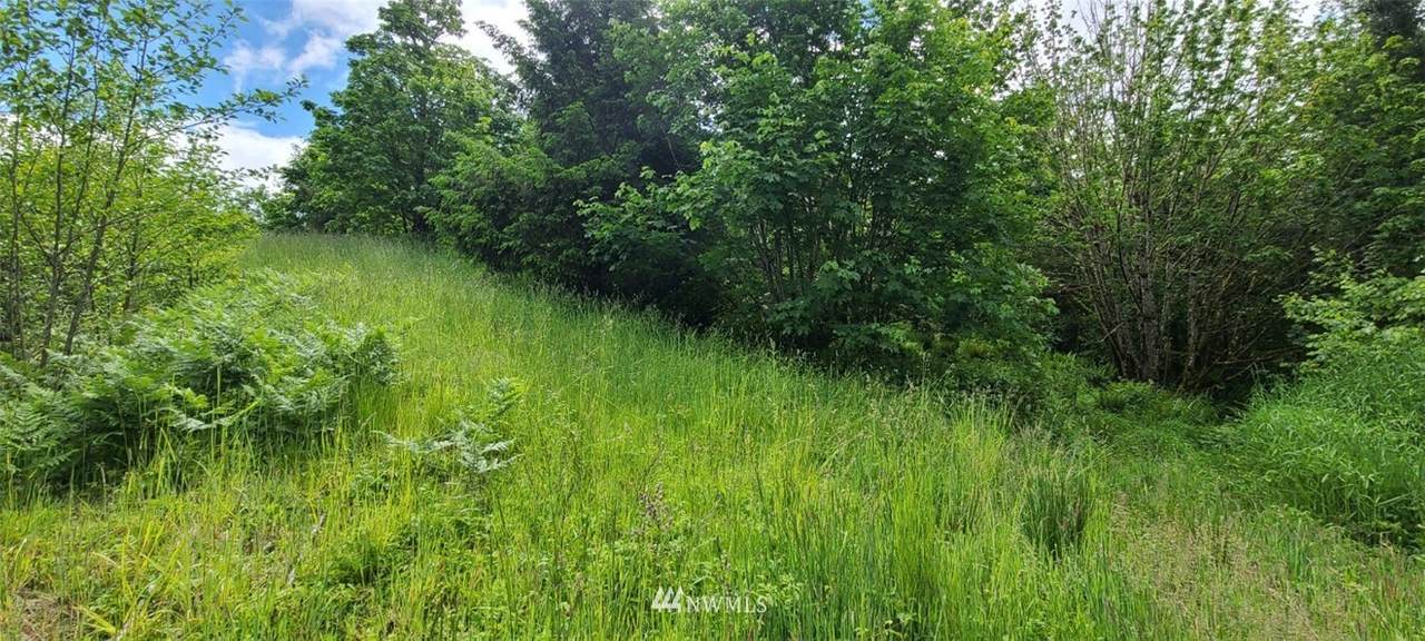 10921 Salmon Creek Lane - Photo 1