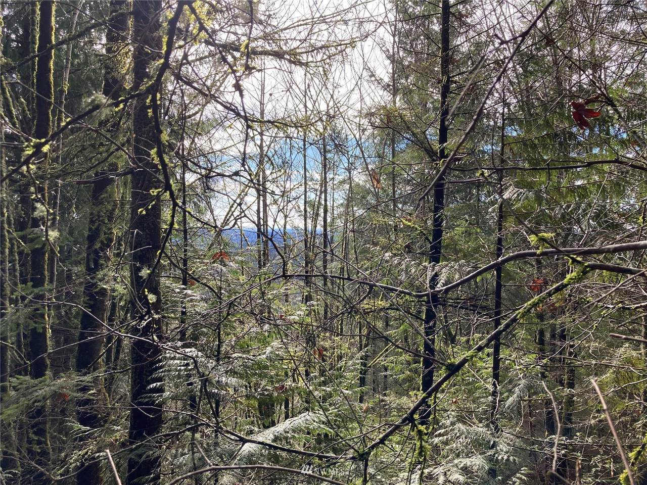 118 XX 198th Avenue - Photo 1