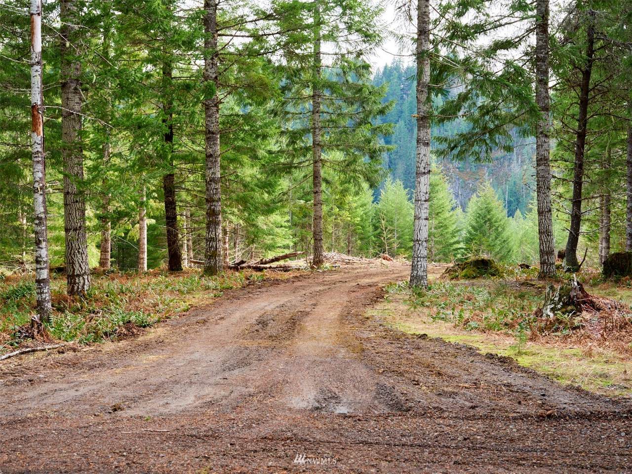 0 Loowit Loop - Photo 1