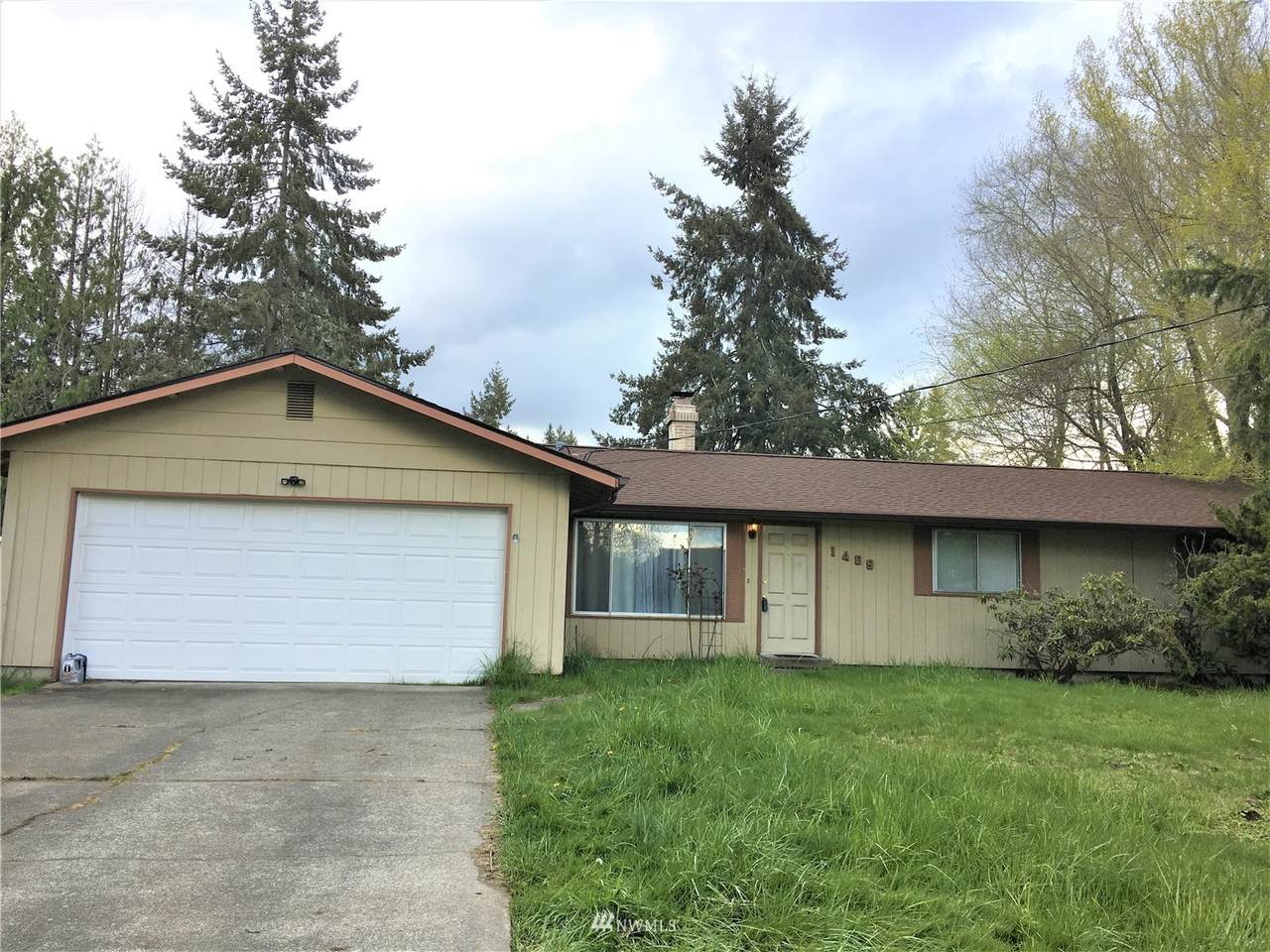 1409 Alder Street - Photo 1