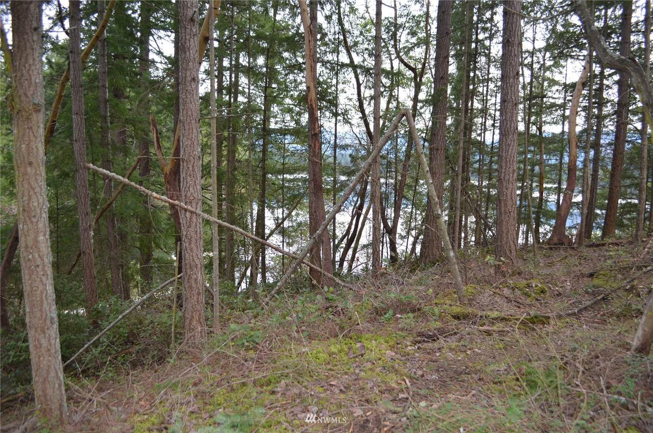 22137 Clear Lake Boulevard - Photo 1