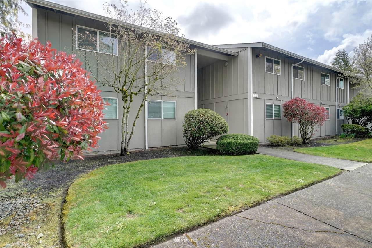 3206 Pine Road - Photo 1