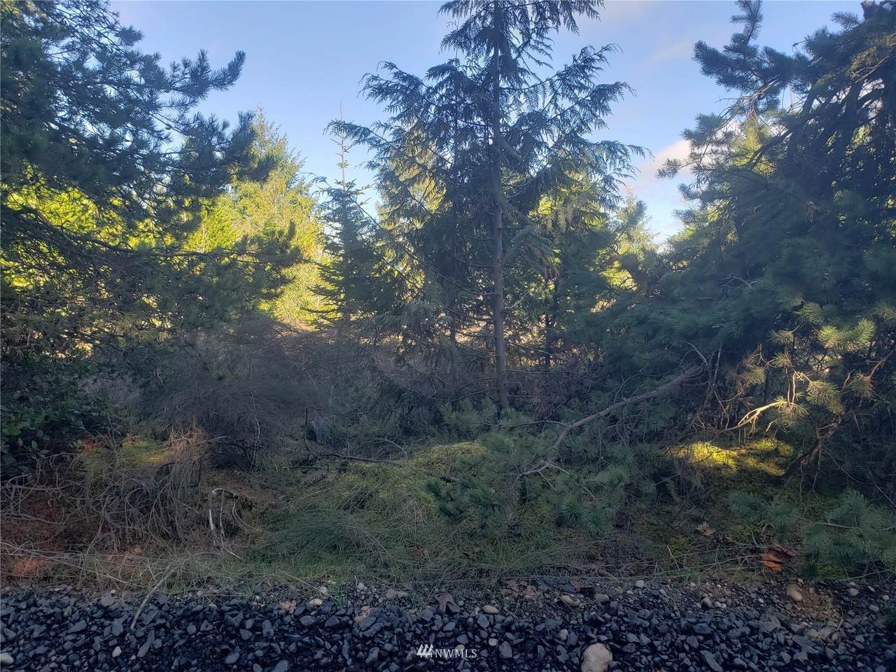 1140 California Road - Photo 1