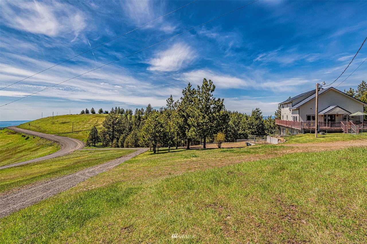 6379 Lewis Peak Road - Photo 1