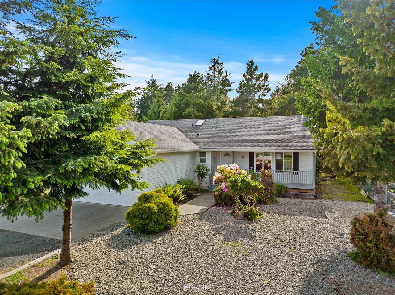 341 Ponderosa Loop - Photo 1