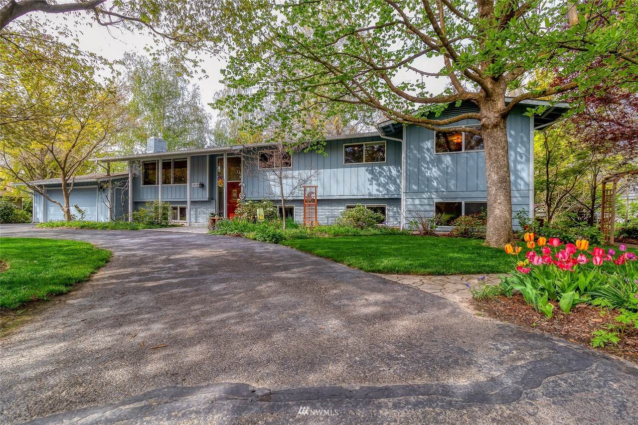 2018 Scarpelli Drive - Photo 1