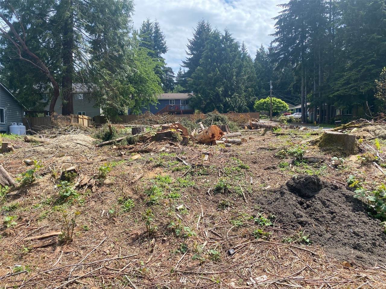 7650 Sandy Way - Photo 1