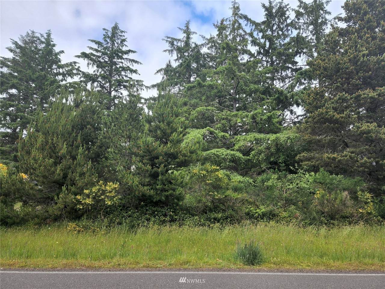 1016 Mount Olympus Avenue - Photo 1