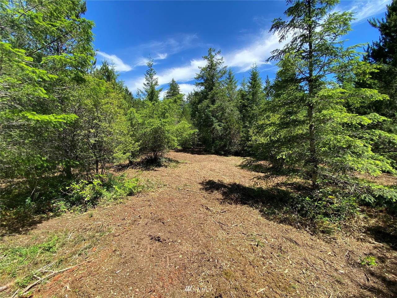 1491 Mason Lake Road - Photo 1