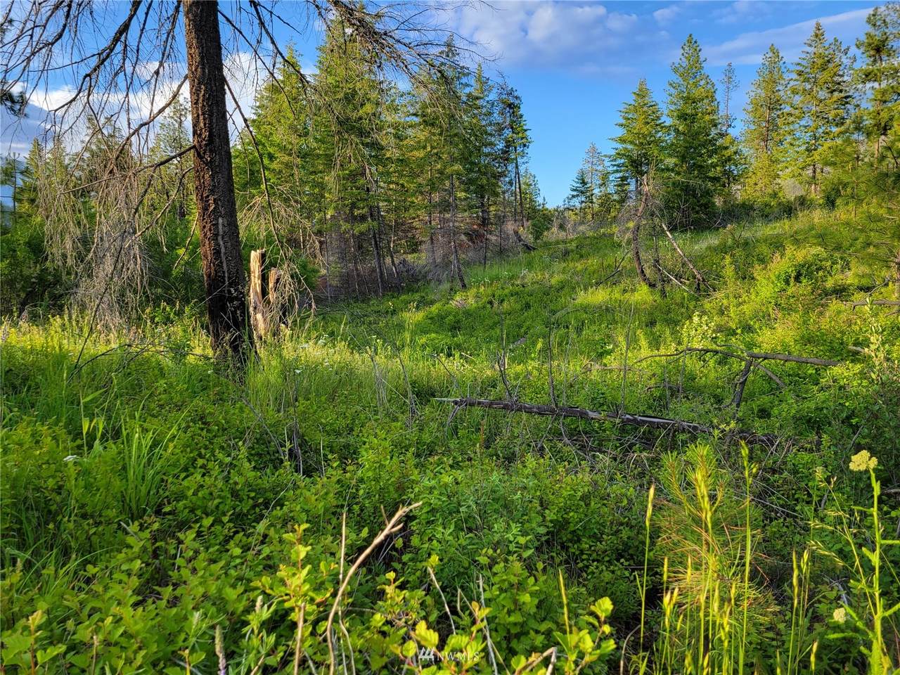 0 Coyote Canyon Rd - Photo 1
