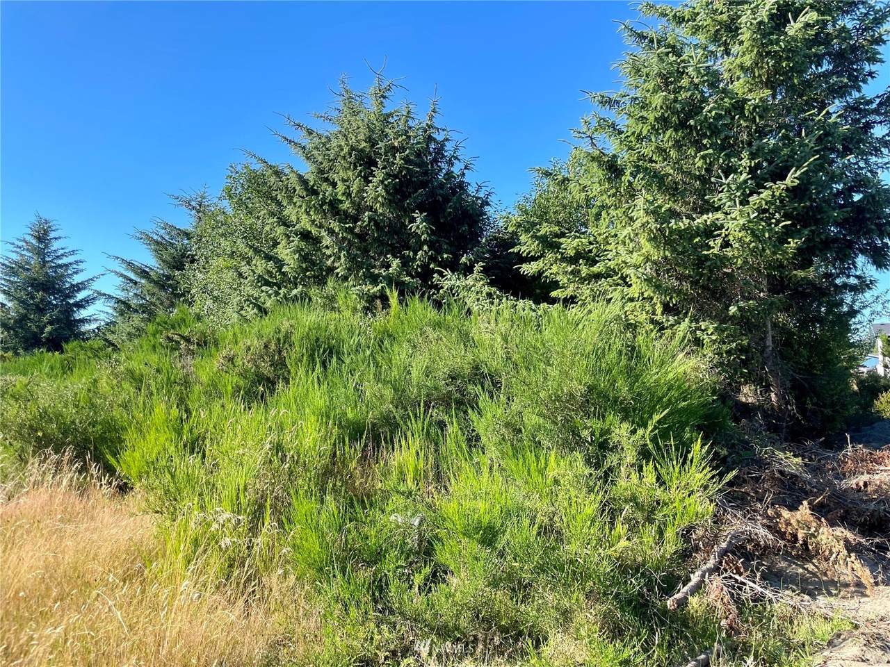 942 Wawona Avenue - Photo 1