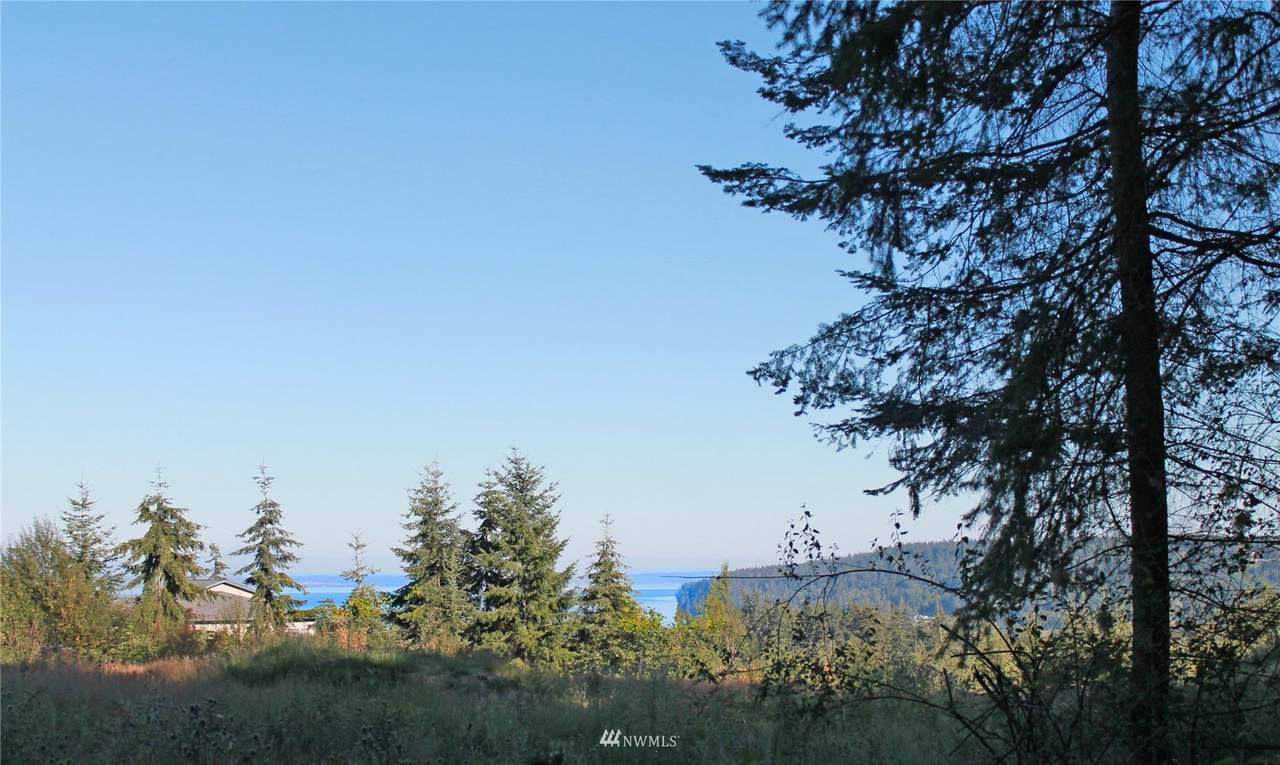 331 Olympic Bay Lane - Photo 1