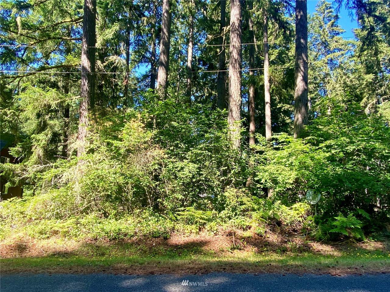 11908 Country Club Drive - Photo 1