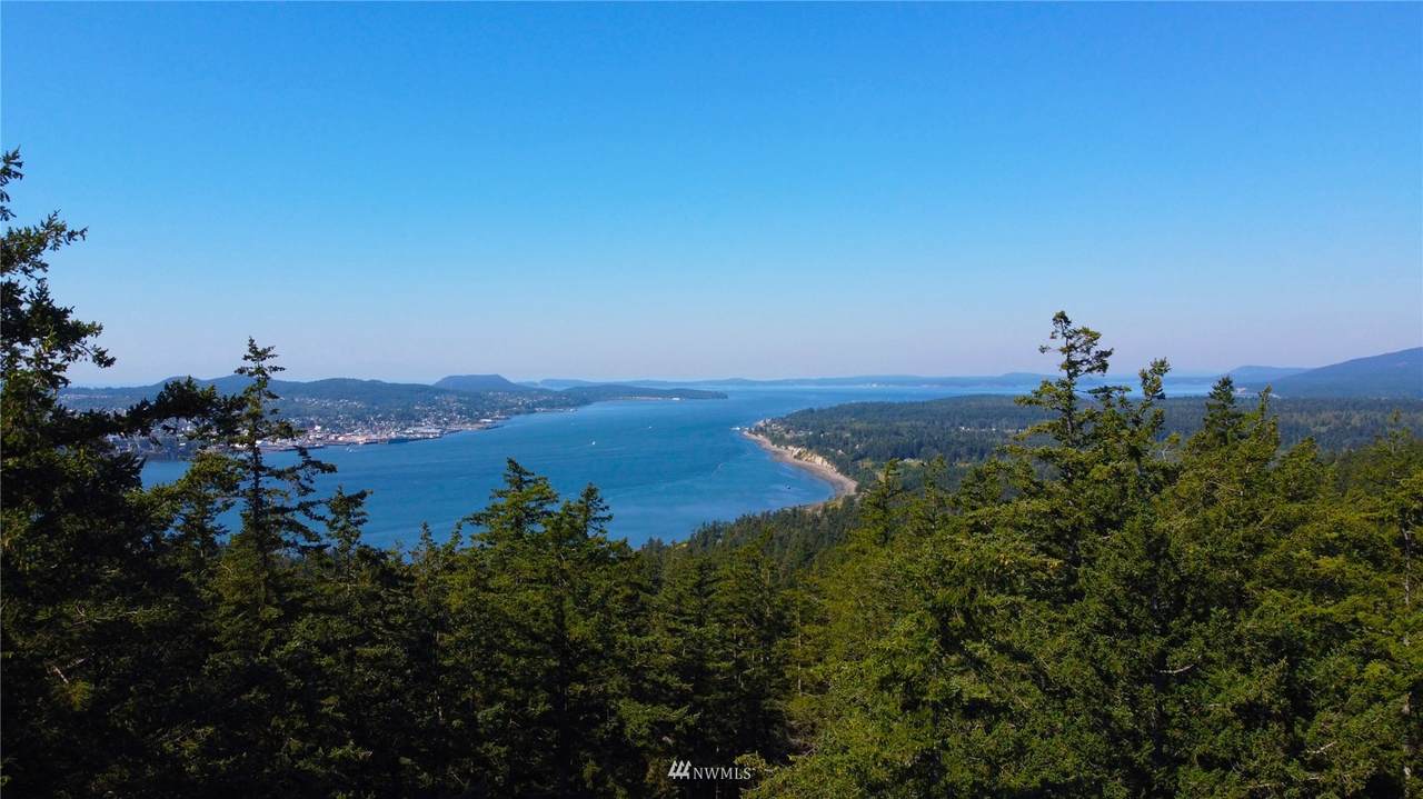 0 Island Crest Lane - Photo 1