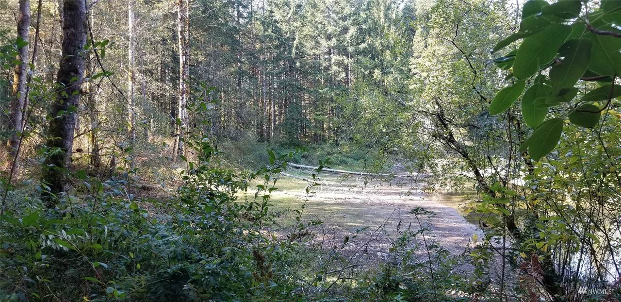 4001 Huckleberry Road - Photo 1