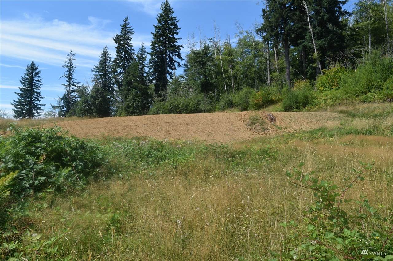 125 Remmen Road - Photo 1