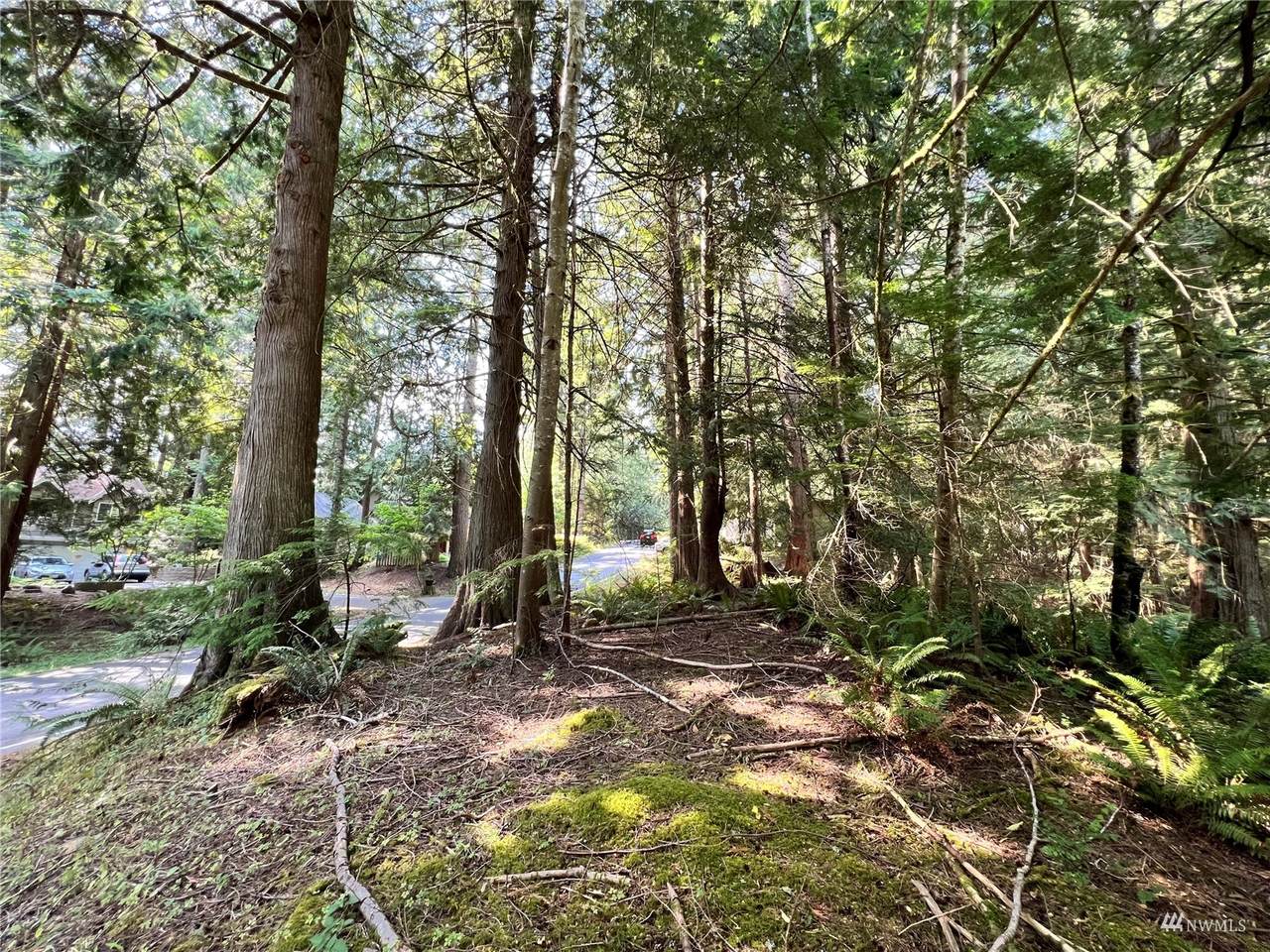 282 Sudden Valley Drive - Photo 1