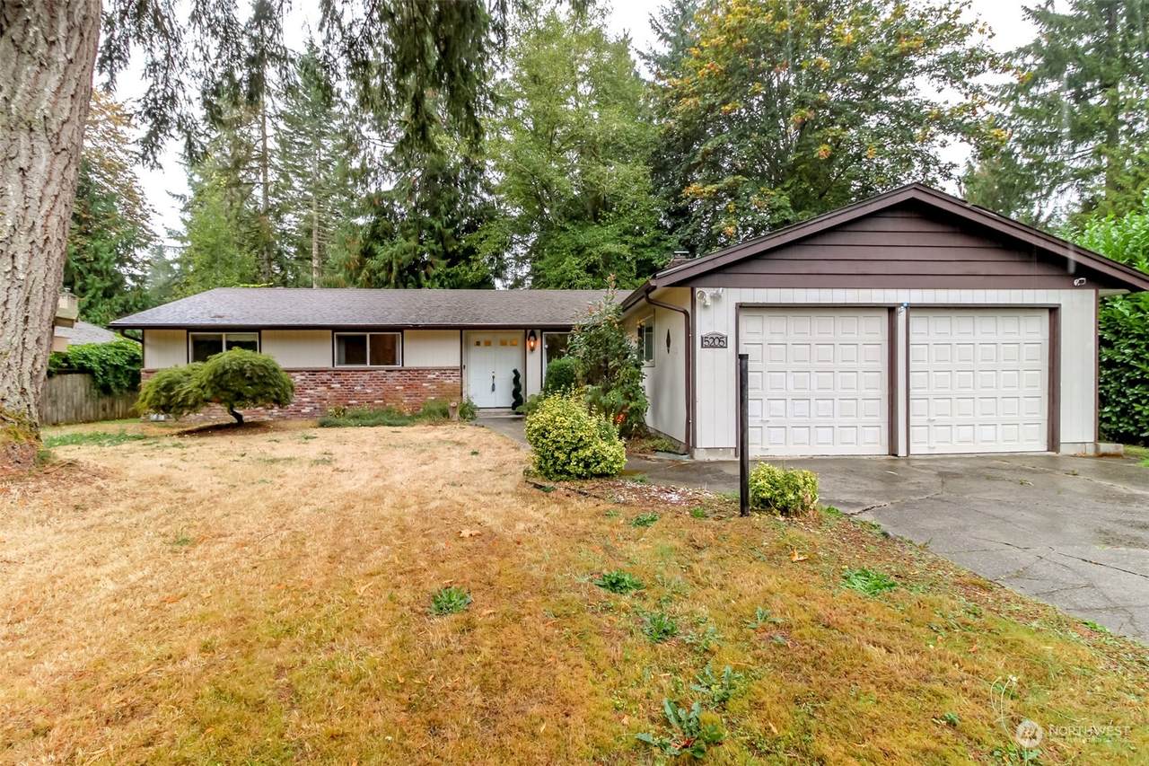 5205 Donnelly Drive - Photo 1