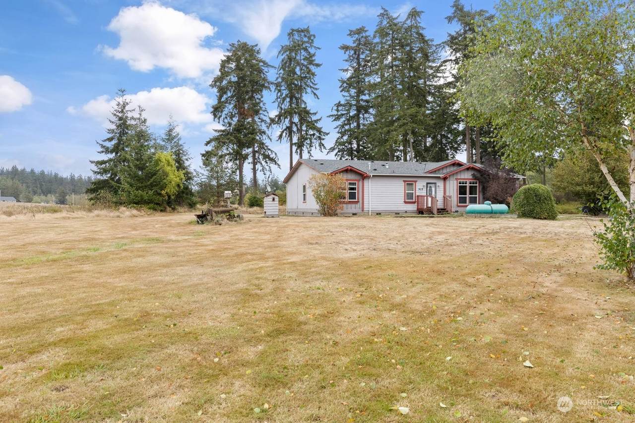 925 Mule Track Lane - Photo 1