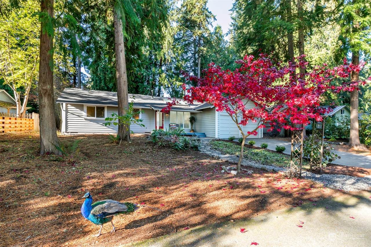 17623 184th Avenue - Photo 1