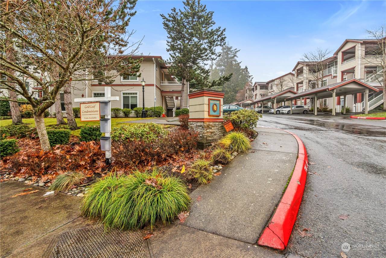 14819 29th Avenue - Photo 1