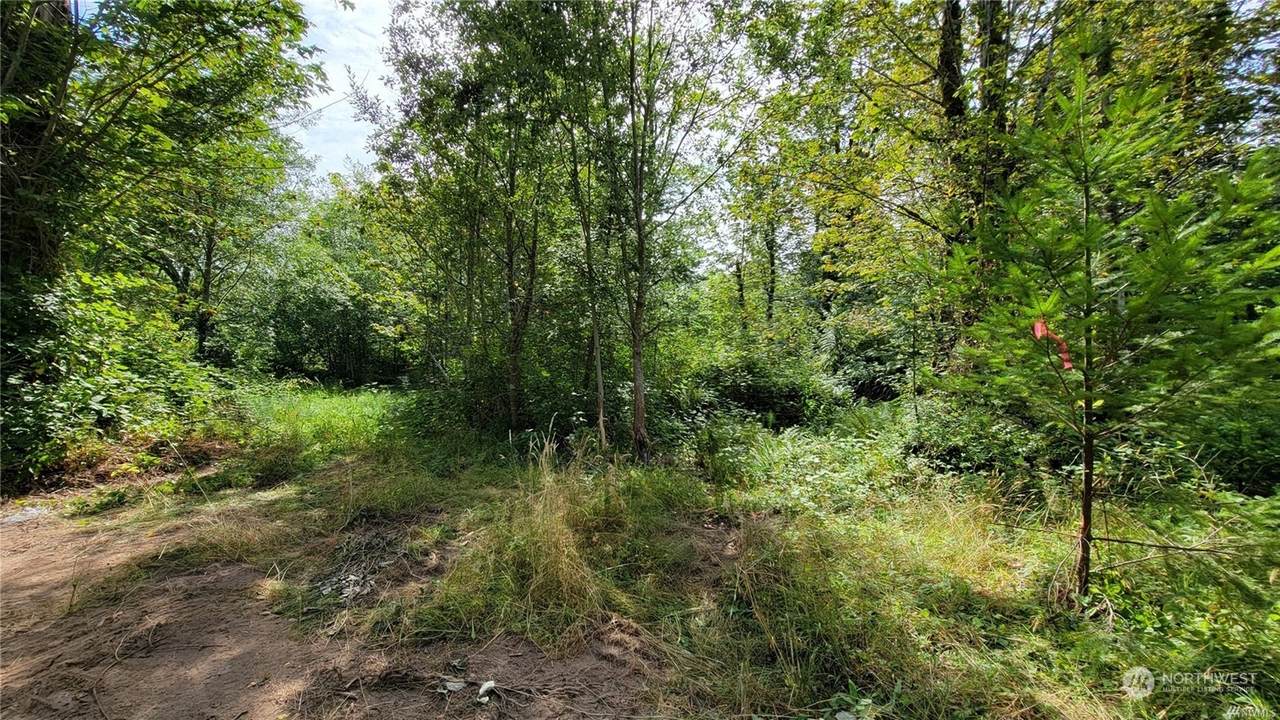 2075 Baby Doll Road - Photo 1