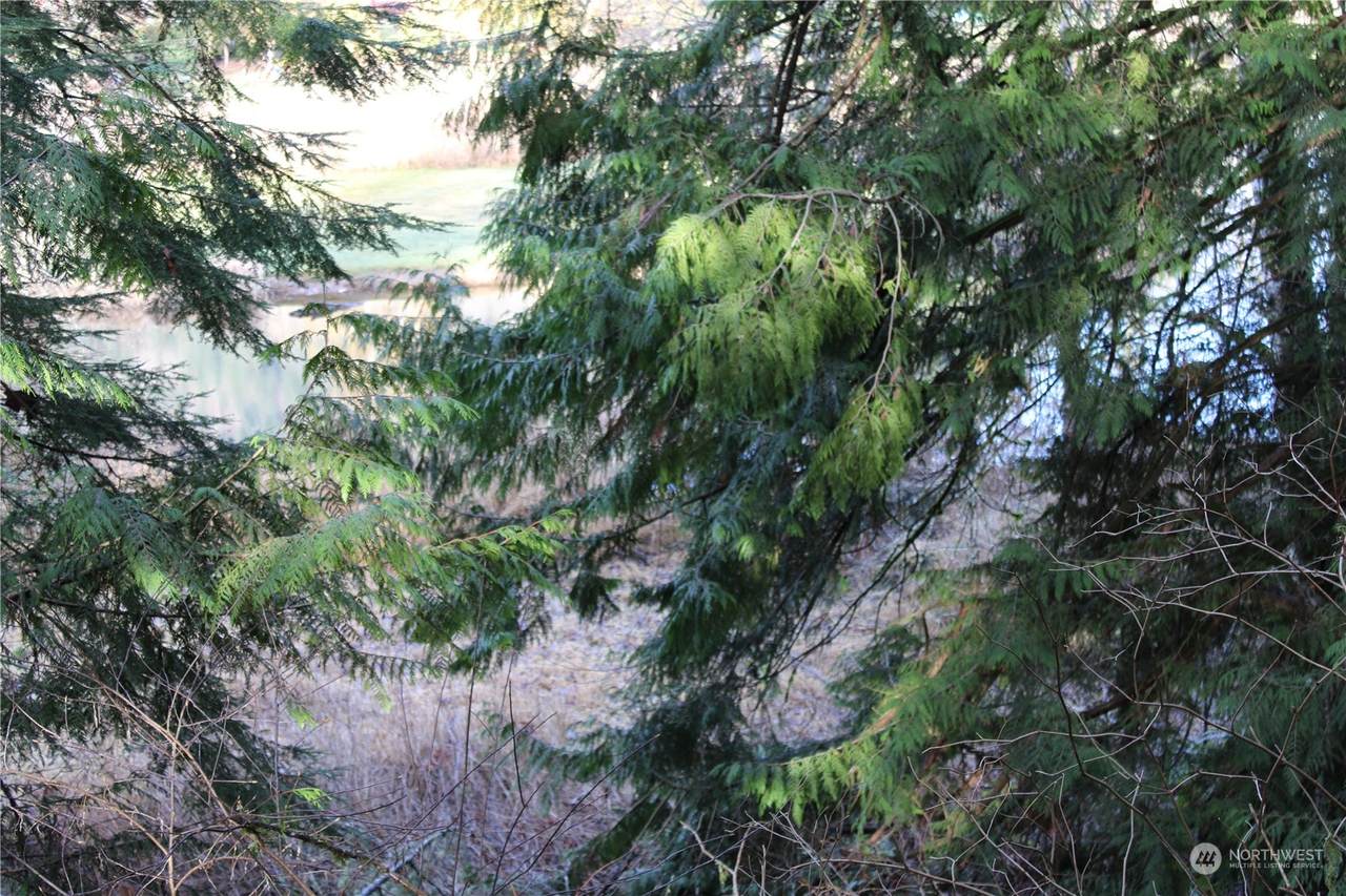 0 Lot 13 Lakeside Drive - Photo 1