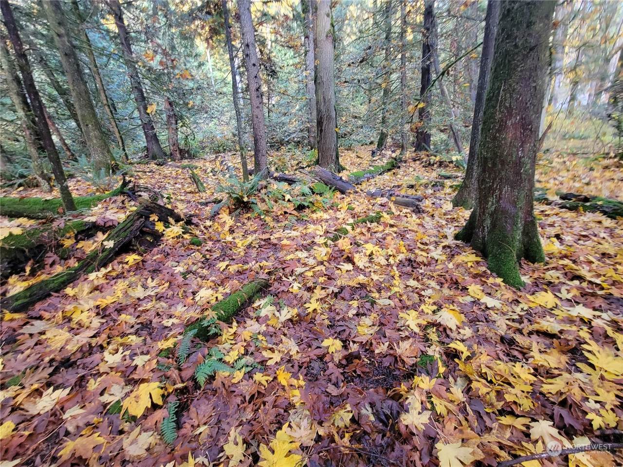 https://bt-photos.global.ssl.fastly.net/nwmls/1280_boomver_1_2176348-1.jpg